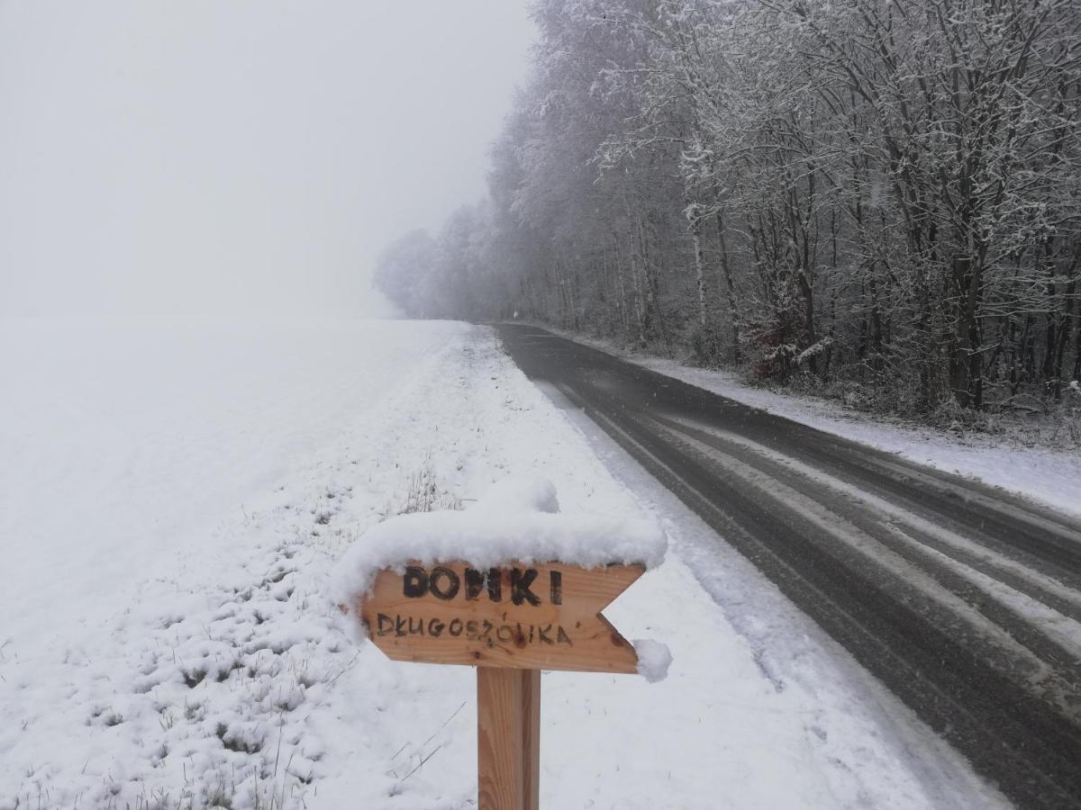 Willa Domki całoroczne DŁUGOSZÓWKA pod Rzeszowem Ruska Bania, Basen Zaborow  Zewnętrze zdjęcie